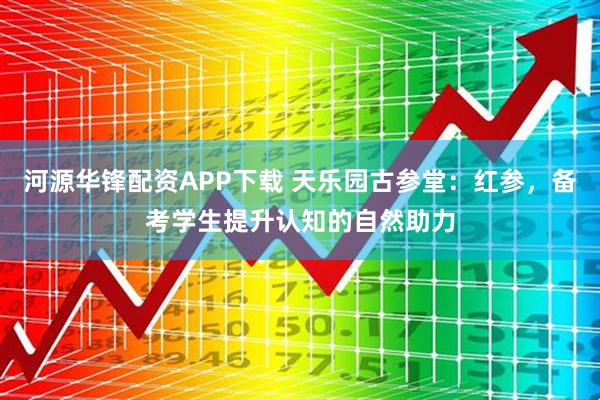 河源华锋配资APP下载 天乐园古参堂：红参，备考学生提升认知的自然助力